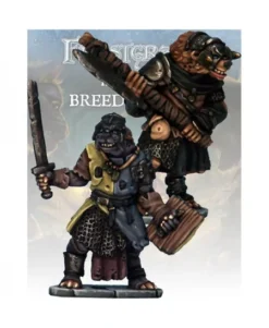 CHEVALIER ET TEMPLIER GNOLL