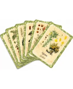 Les Cernes Du Temps - Oracle - Cartes