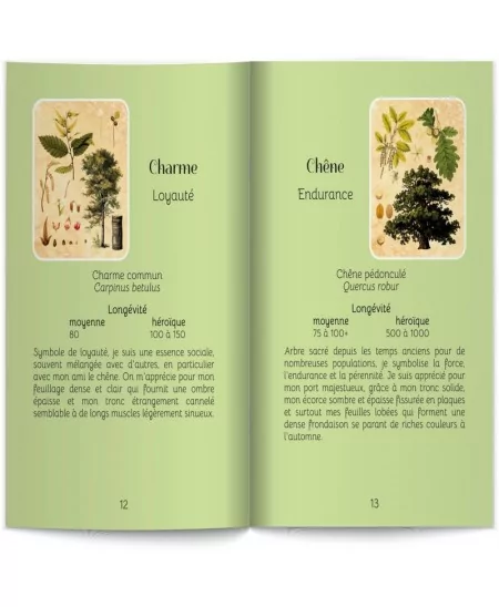 Les Cernes Du Temps - Oracle Des Arbres - Livret 5 Les Cernes Du Temps - Oracle Des Arbres - Livret – Image 3